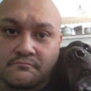 Meet your Posher, Bill